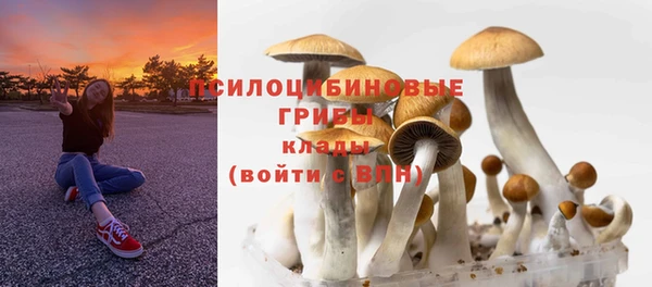кокс Алзамай