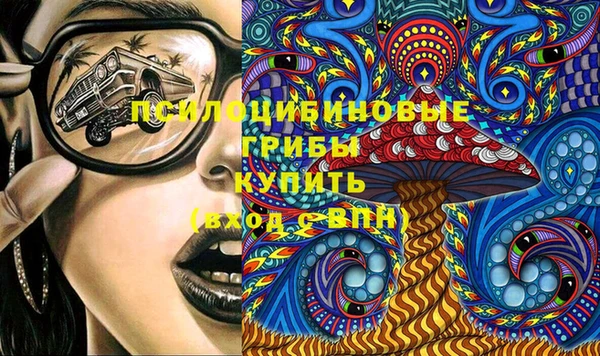 спайс Алексин