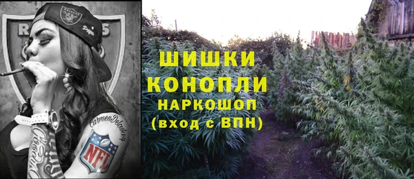 спайс Алексин